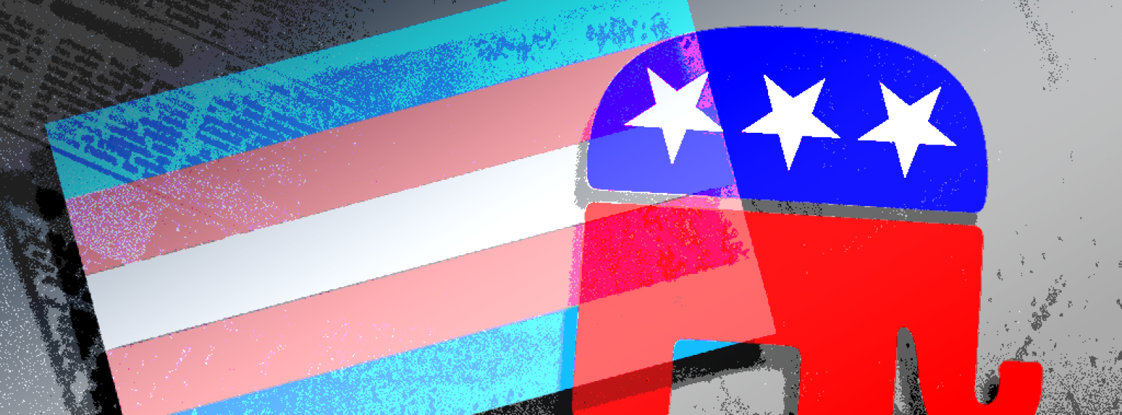 Trans flag and RNC logo