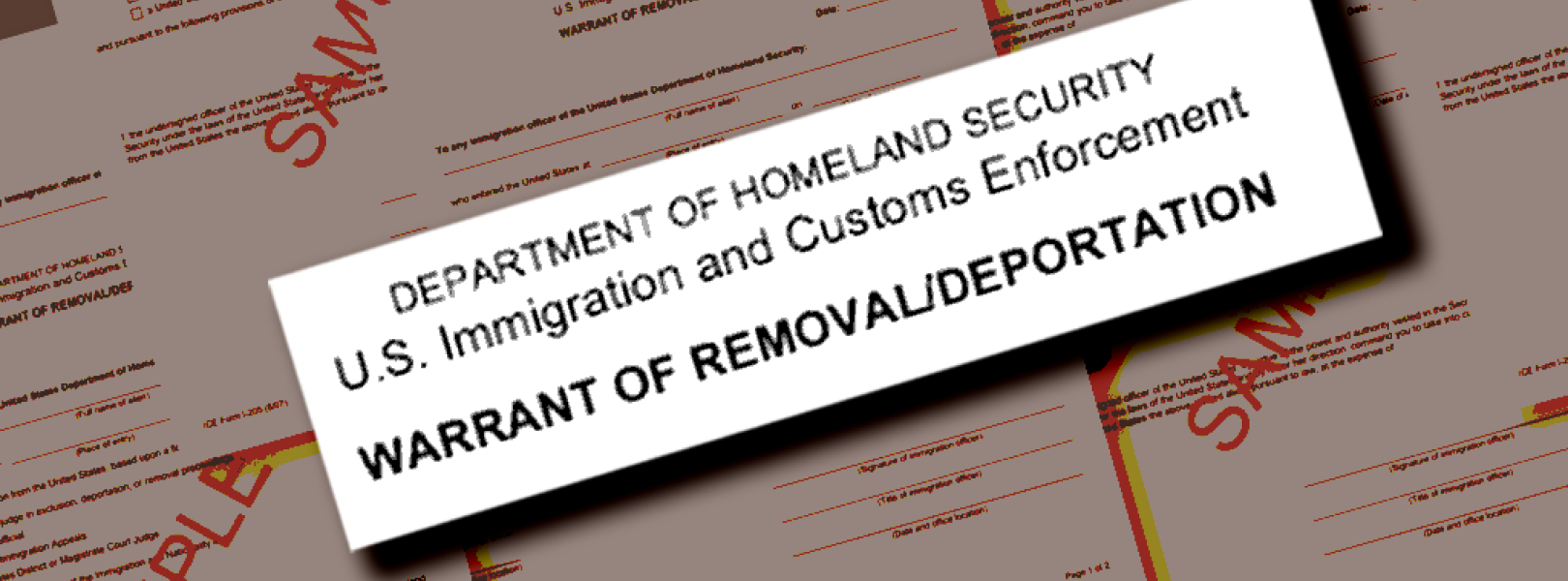 An image of a warrant of removal/deportation