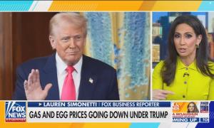 Fox Business reporter Lauren Simonetti