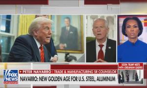 Peter Navarro on Fox