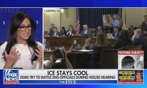 still of Compagno; chyron: ICE stays cool / Dems try to rattle DHS officials during House hearing
