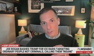 still of Angelo; chyron: Joe Rogan bashes Trump for ICE raids targeting ordinary people not criminals, calling them "insane"
