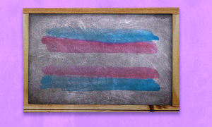 A trans flag on a chalkboard which has a lavender background.