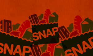 Paper bags with food with "SNAP" written on them