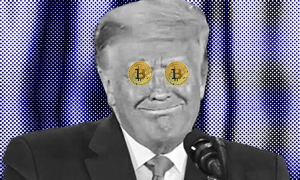 Trump inspiration crypto coins image