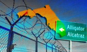 Florida, a security fence, and a sign that says alligator alcatraz