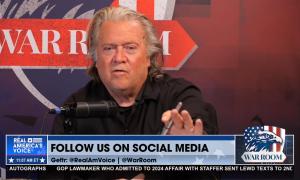 image of Steve Bannon