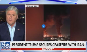 Screenshot from Sean Hannity's Fox News program