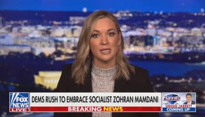 still of Pavlich; chyron: Dems rush to embrace socialist Zohran Mamdani