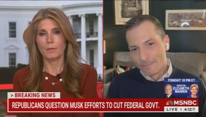 still of Wallace, Carusone; chyron: Republicans question Musk efforts to cut federal govt.