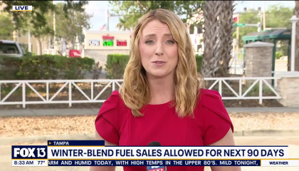 still of reporter; chyron: Winter-blend fuel sales allowed for next 90 days