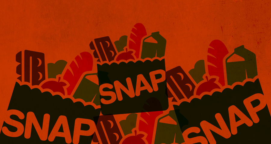 Paper bags with food with "SNAP" written on them